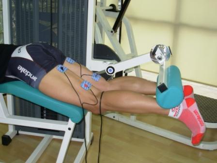 Beneficios de la electroestimulación muscular en el campo fisioterapéutico  (TENS) y en el del desarrollo muscular (EMS)