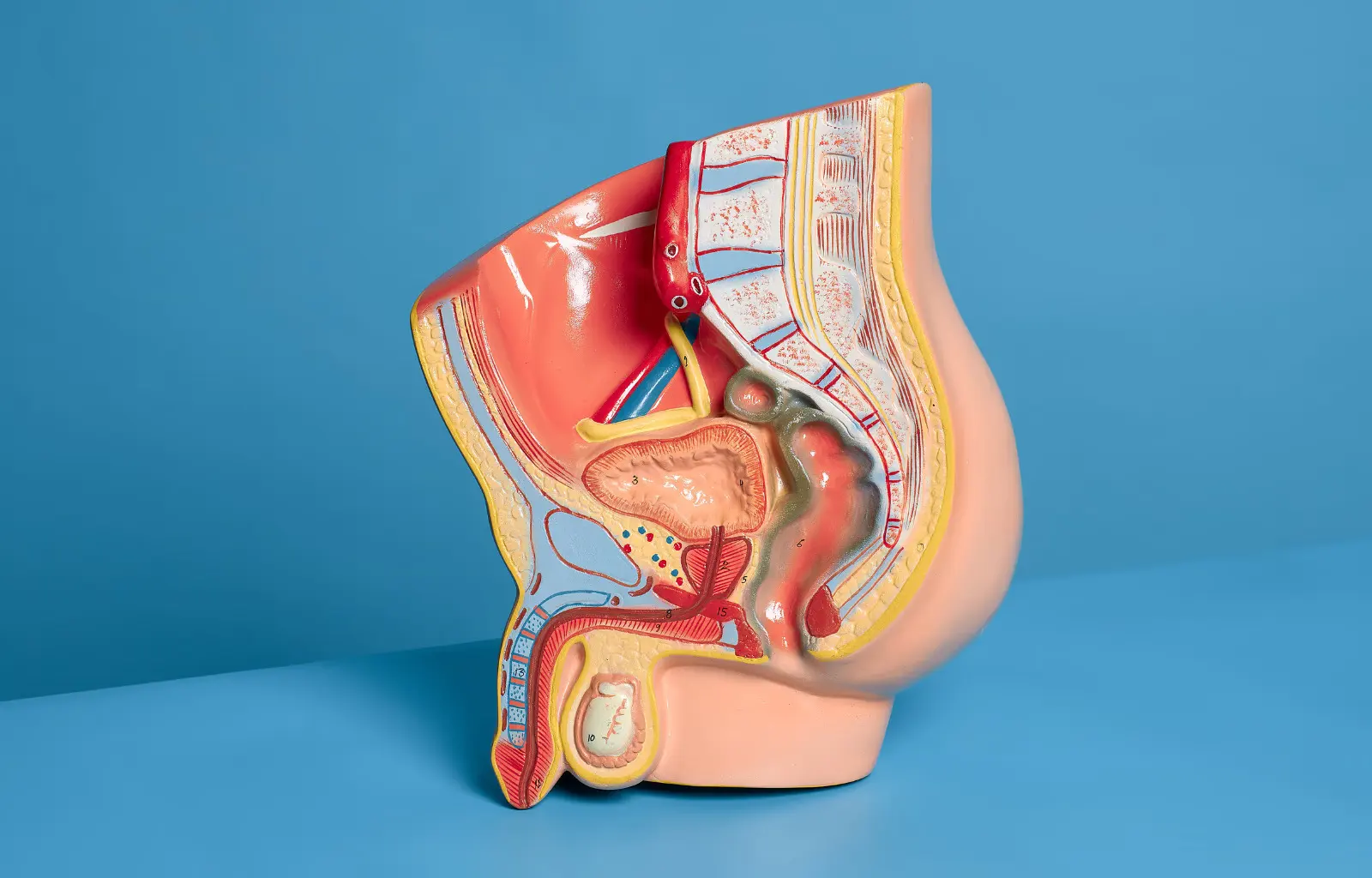 Imagen del curso: Patologías Eyaculatorias